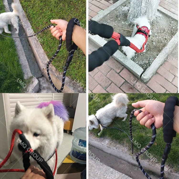 pet leash  (2)