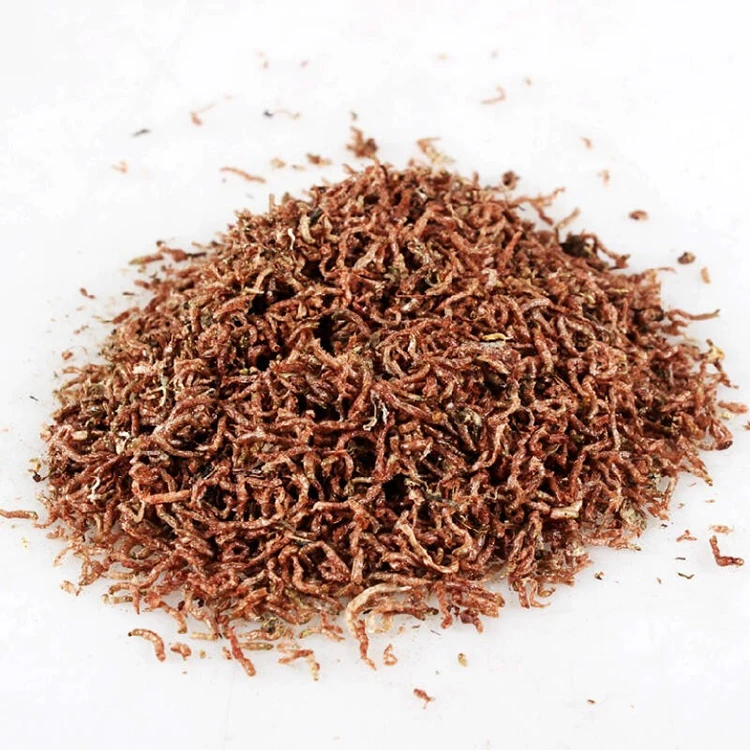 Dried Blood Worm.jpg