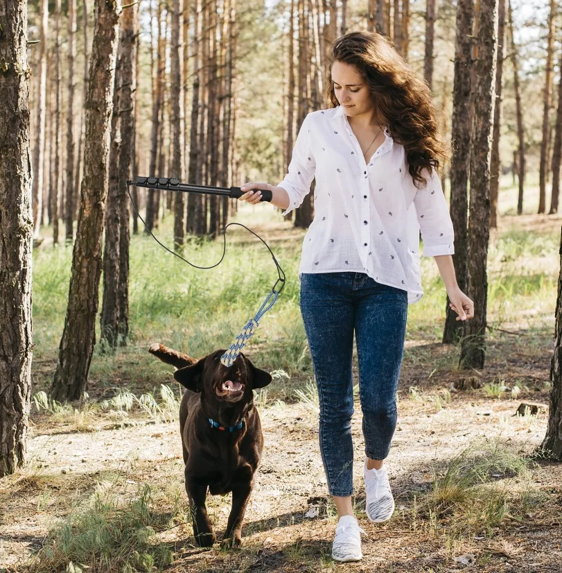 Eco-Friendly Telescopic Retractable Plastic Pet Training Stick Dog and Cat Toy Stick