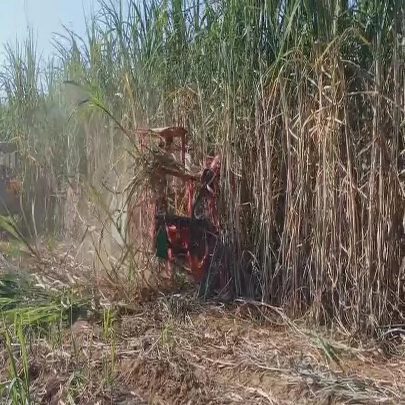 Factory Price Mini Cane Combine Harvester Selfpropelled Sugarcane