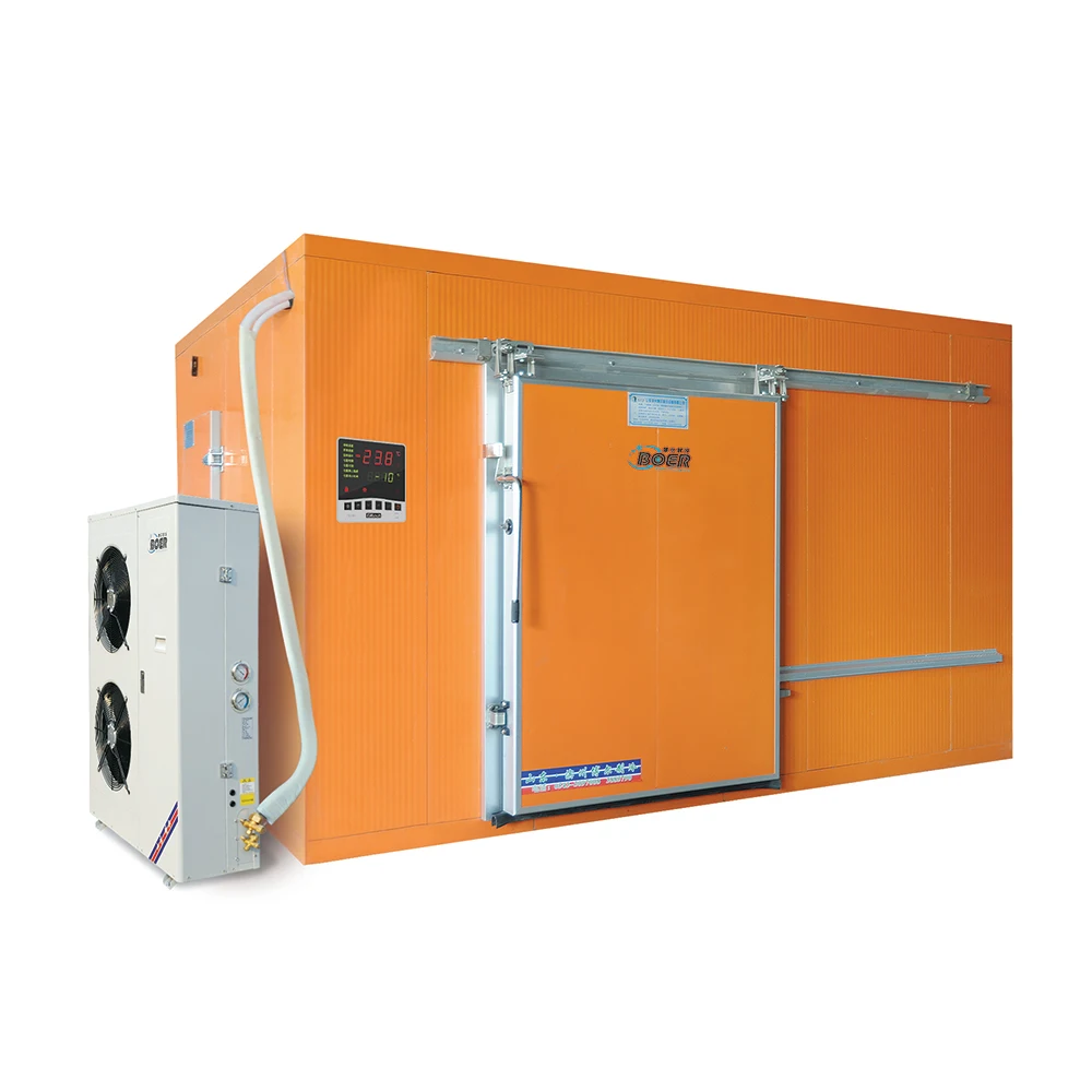 High Quality Refrigerated Room Cooling Room Freezer Refrigerated Room