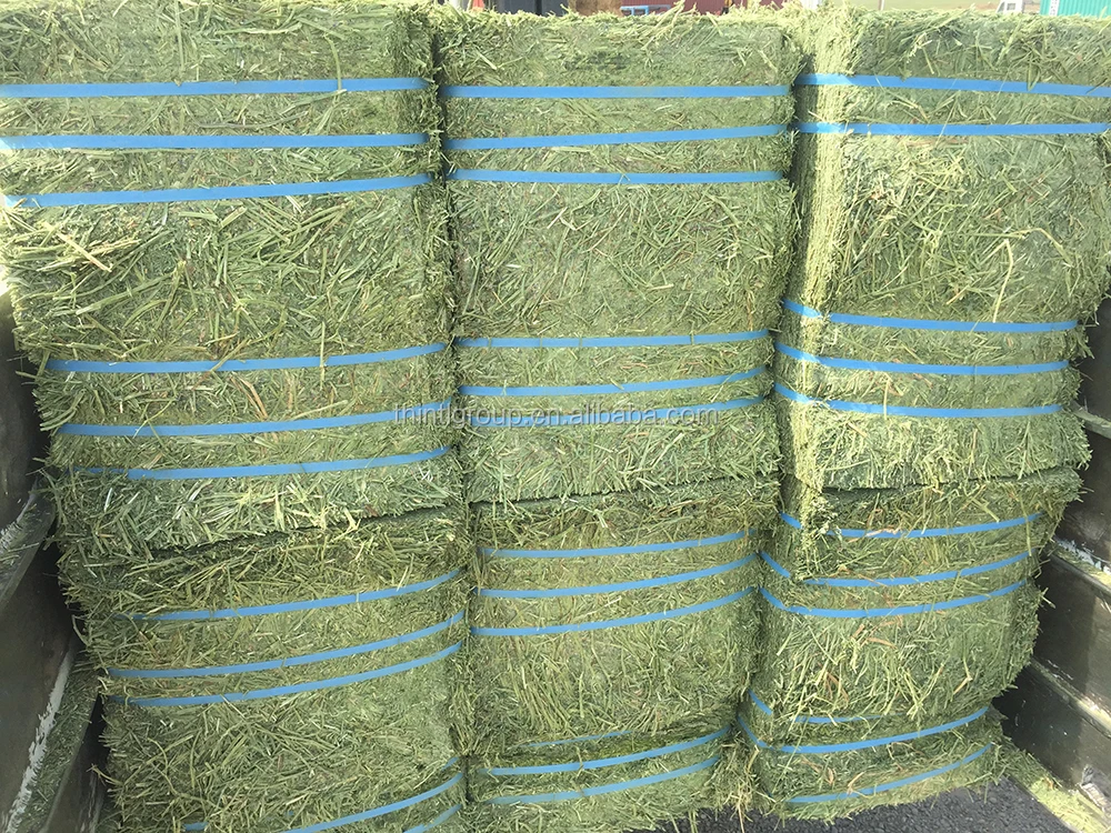 55-60kg bale