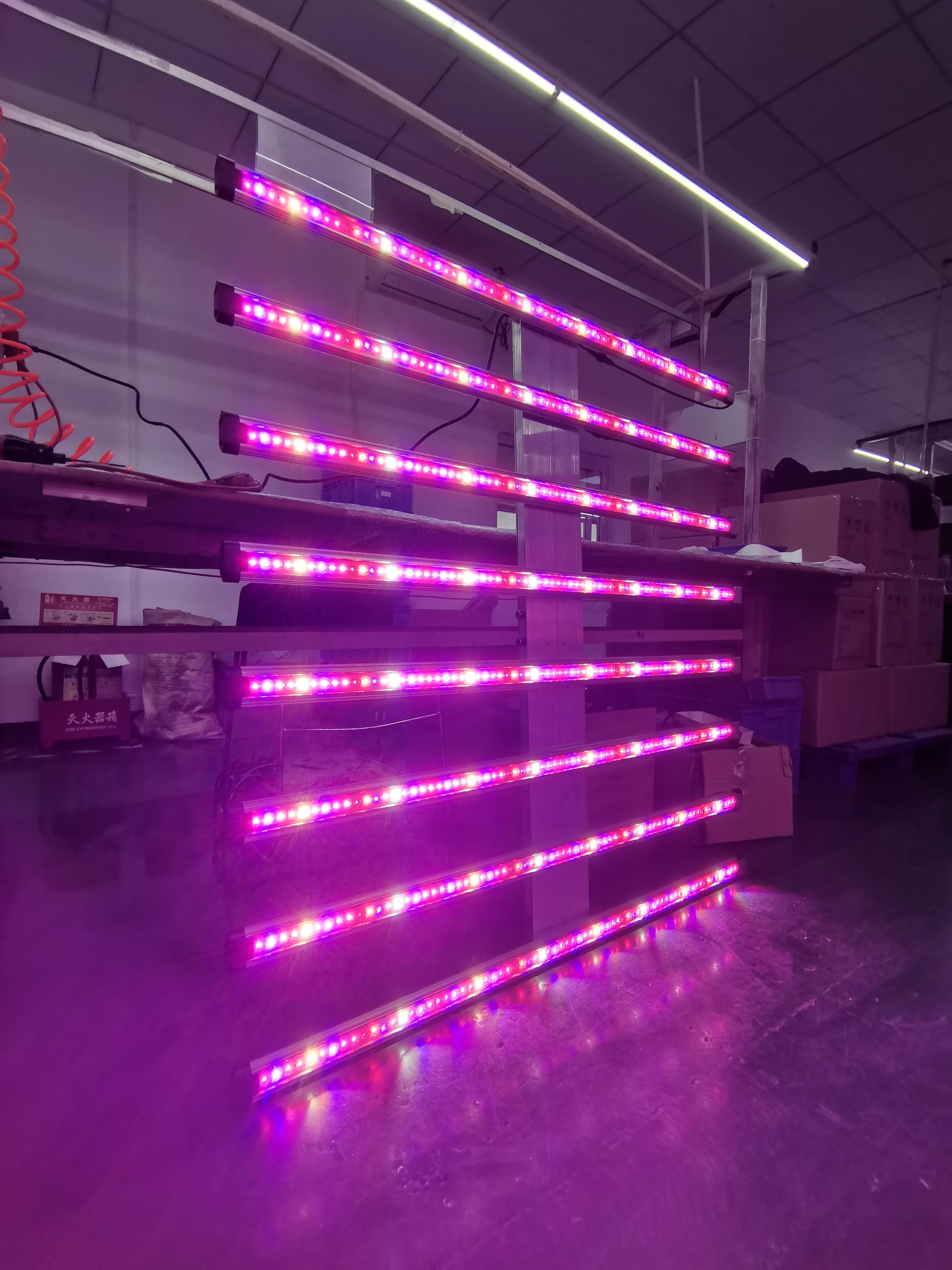 Best 6500k Dimmable Agriculture Lighting Full Spectrum Led Grow Light ...