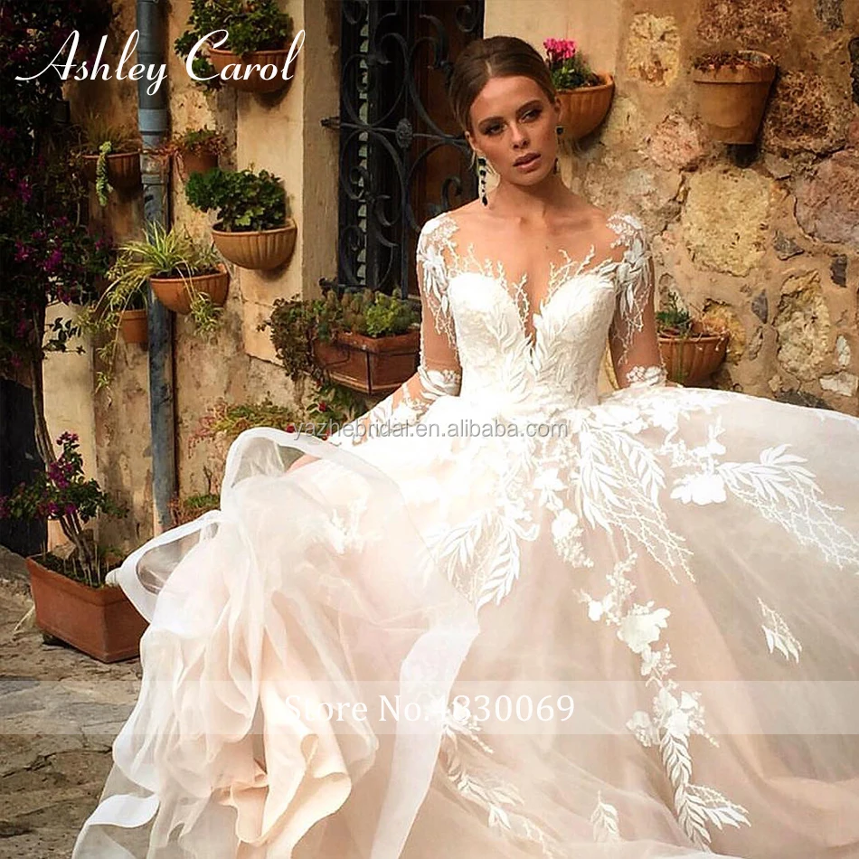 Sexy V-neck Appliques Tulle Wedding Dress 2020 Illusion Backless Long Sleeve Princess Boho Lace Wedding Gowns