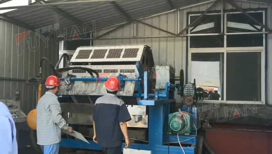 Small Business Automatic Egg Tray Machine With Hot Pressing Machine