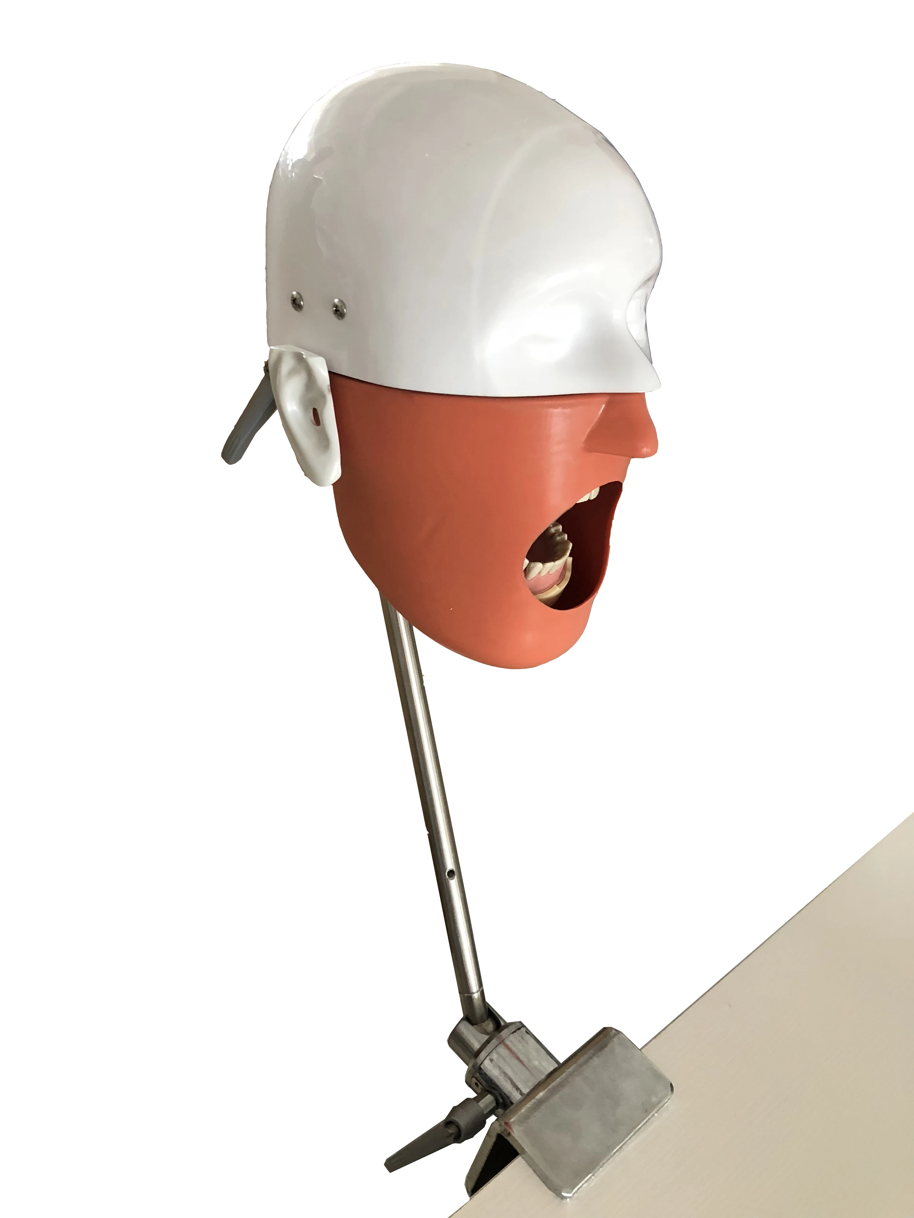 Dental Phantom Head For Training Dental Practice Model Buy Dental