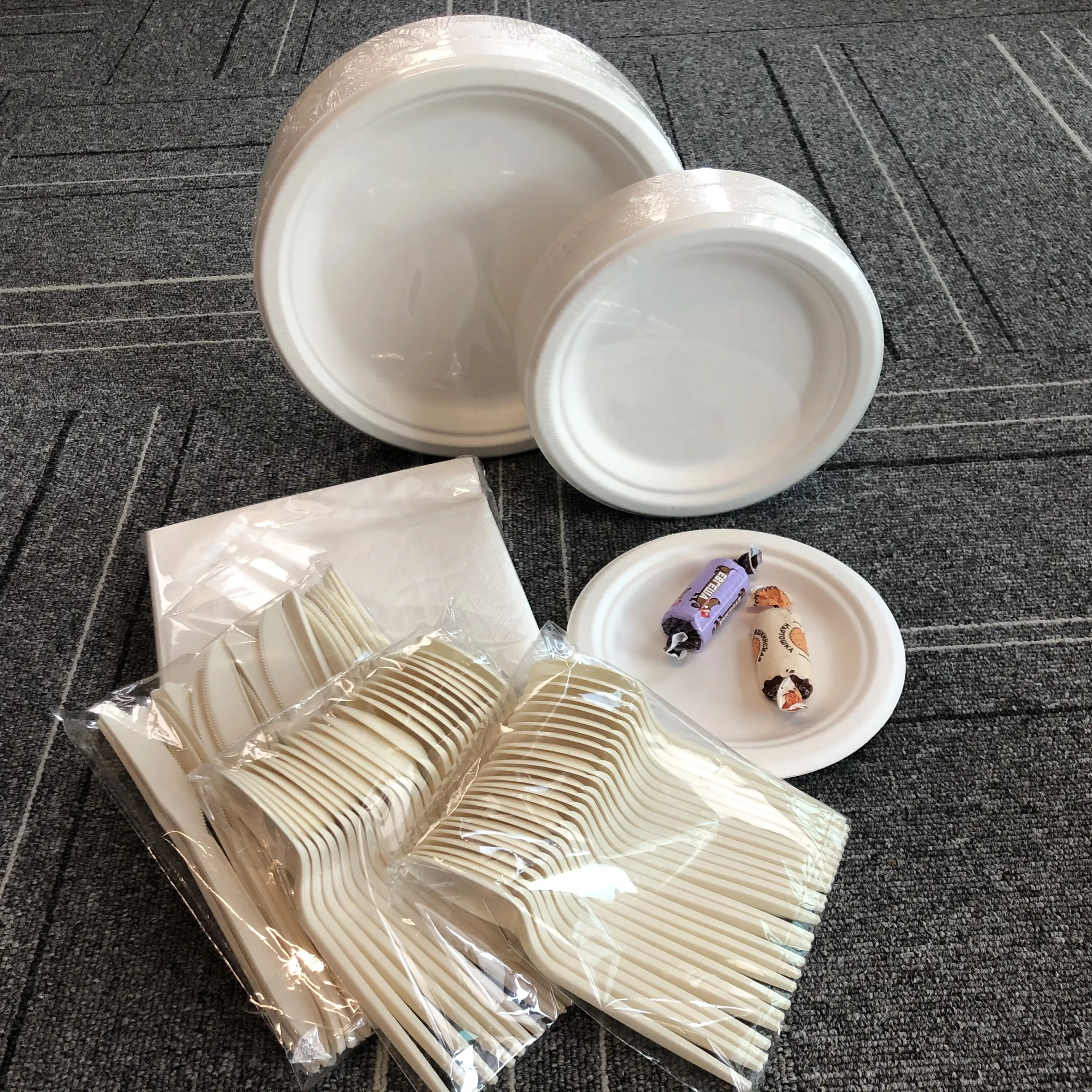 Hot Sale Plate Supplier Disposable Cutlery Sugar Cane Tray Bagasse