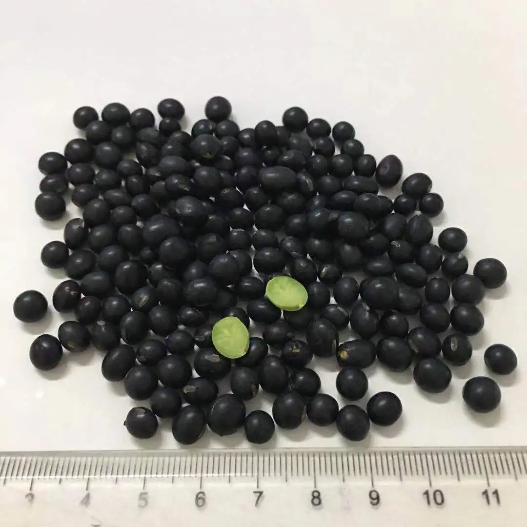 2020 New Crop Black Non-GMO Soybean Price