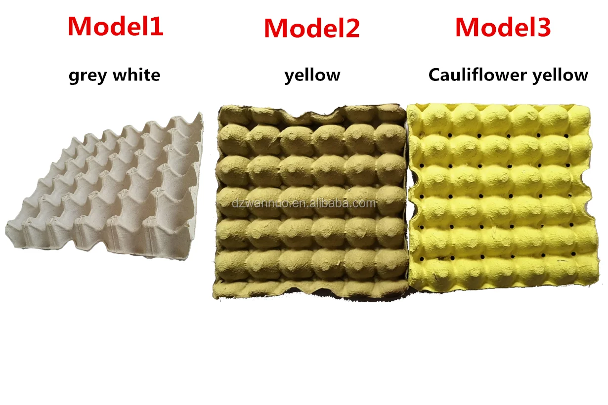 all model.png