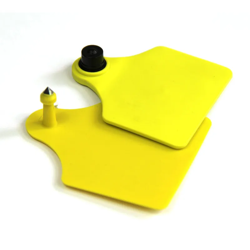 rfid ear tag (2)