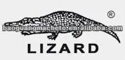 lizard.jpg