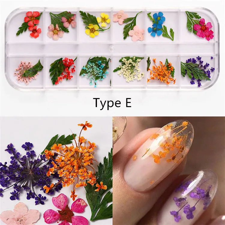 QT0188 Type E flower