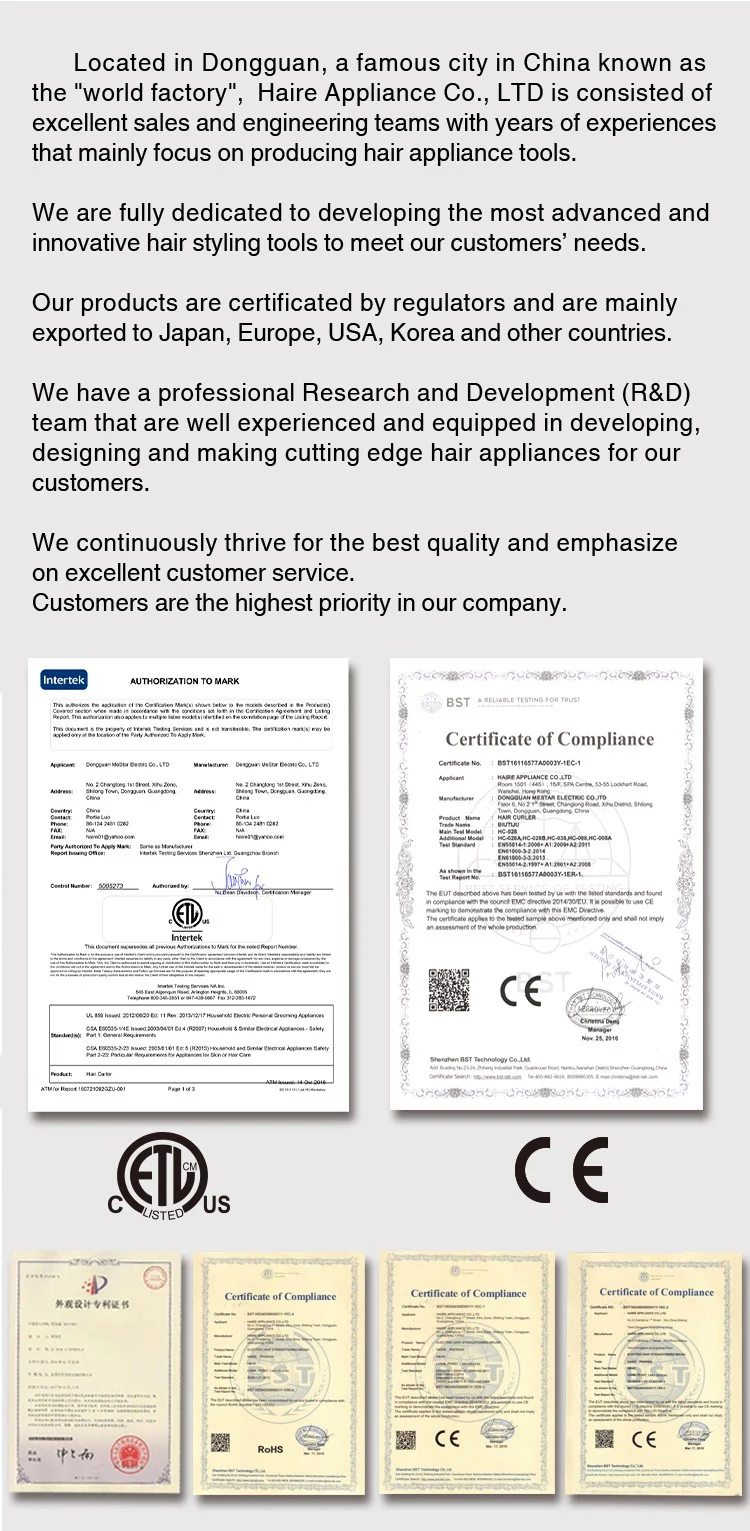 Factory introduction