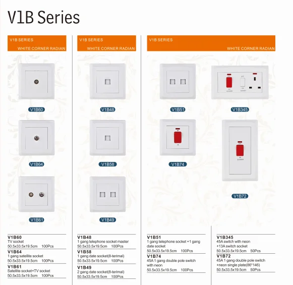 VNX Best Selling 2 Gang Multi Switched Socket Wholesale Home Using Electrical Switch and Socket 250V
