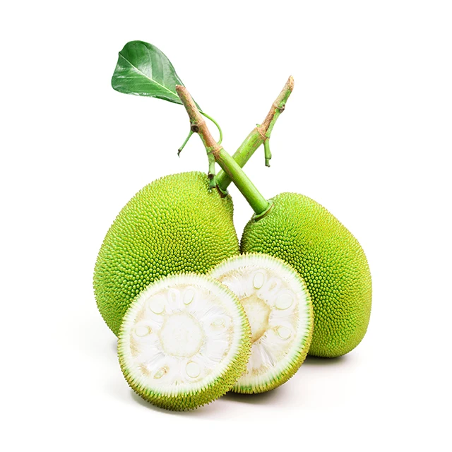 Jackfruit In Brine Pickle Vegan Food Jackfruit Product From Thailand Plant Based Natural