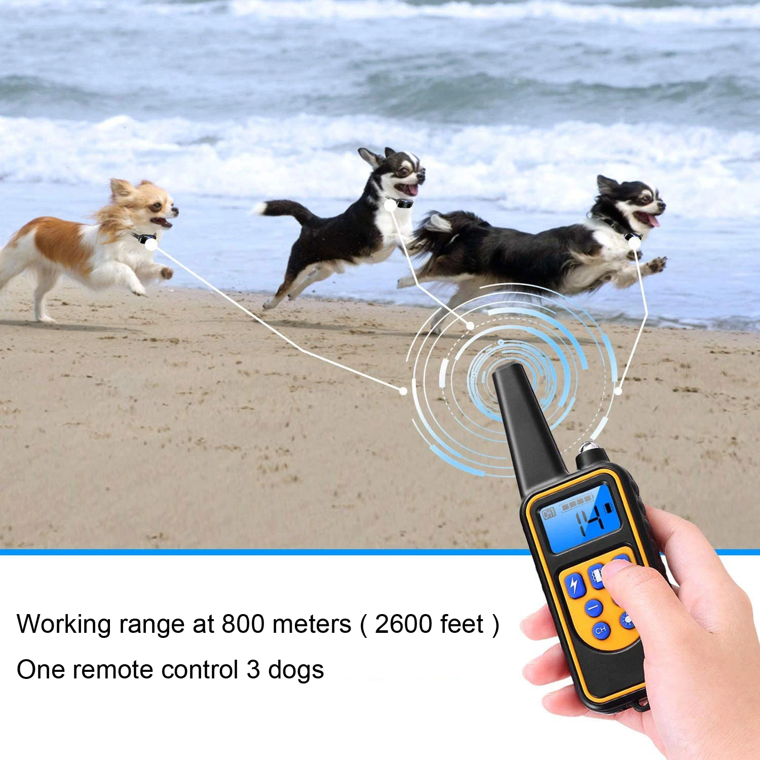 Pet_Dog_Training_Collar