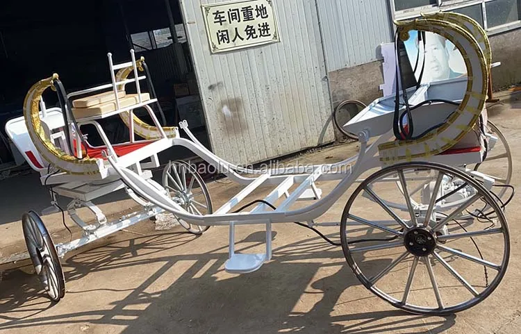 户外圣诞装饰旅游皇家电动马车/待售马车