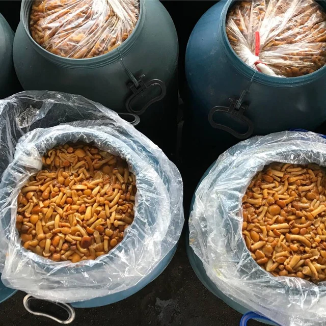 nameko in brine.jpg