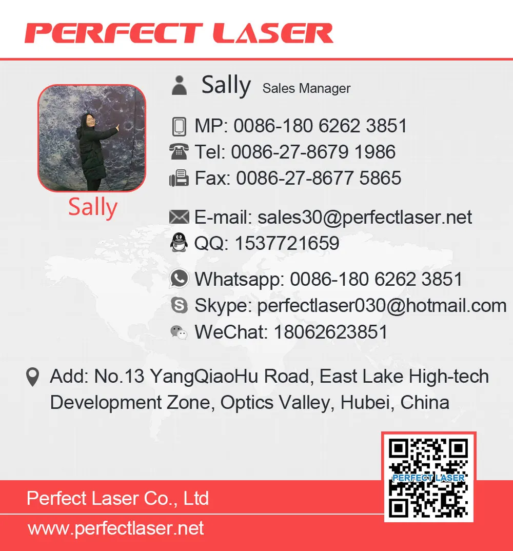 Sally-1.jpg