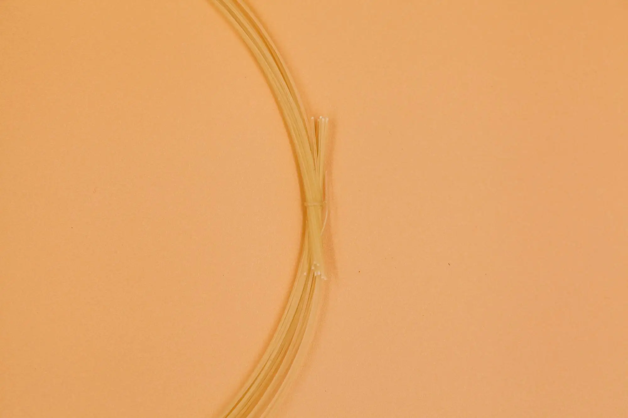 Plain Catgut Absorbable Sutures With Needles Used For Vet Animal