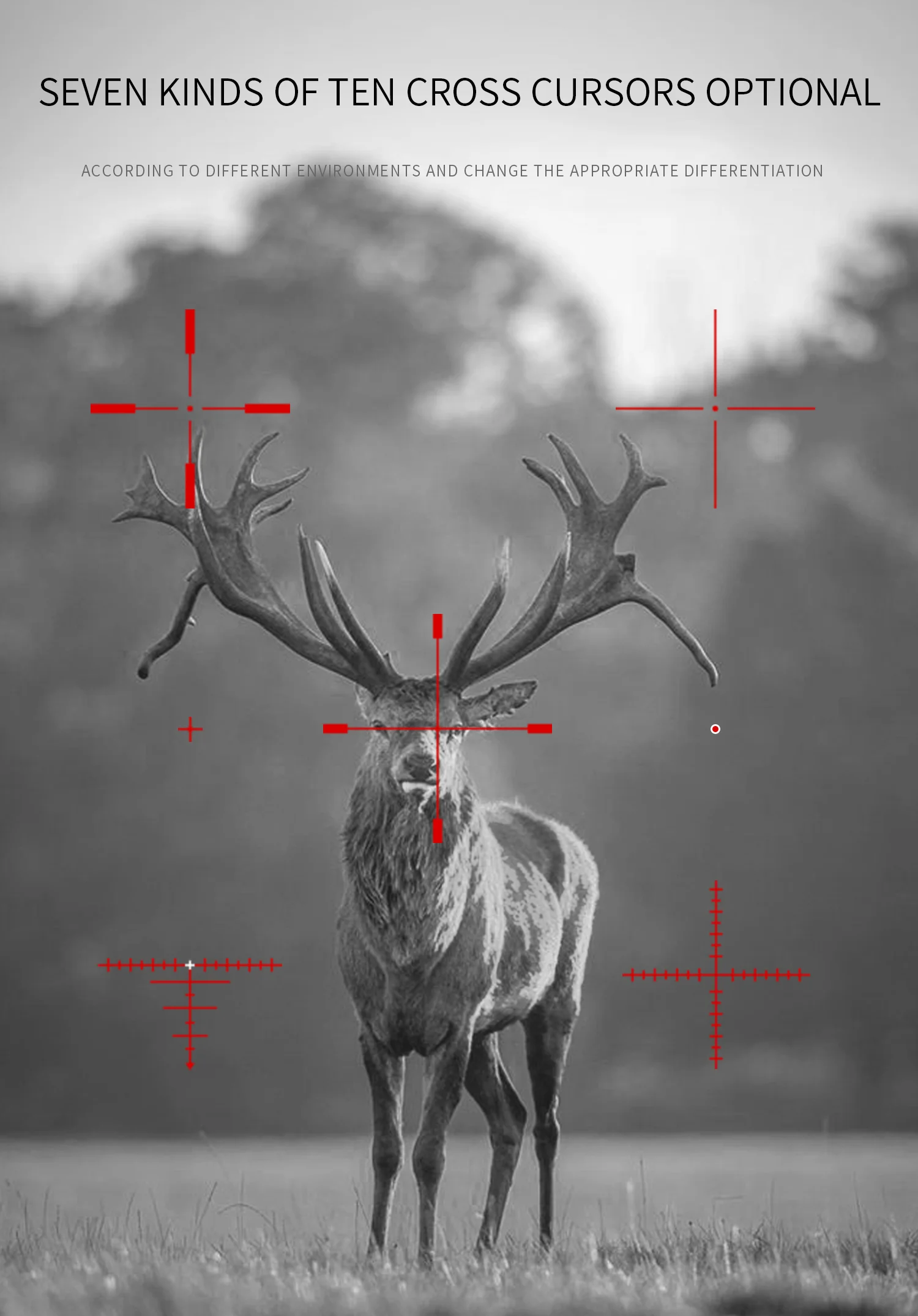 44.png