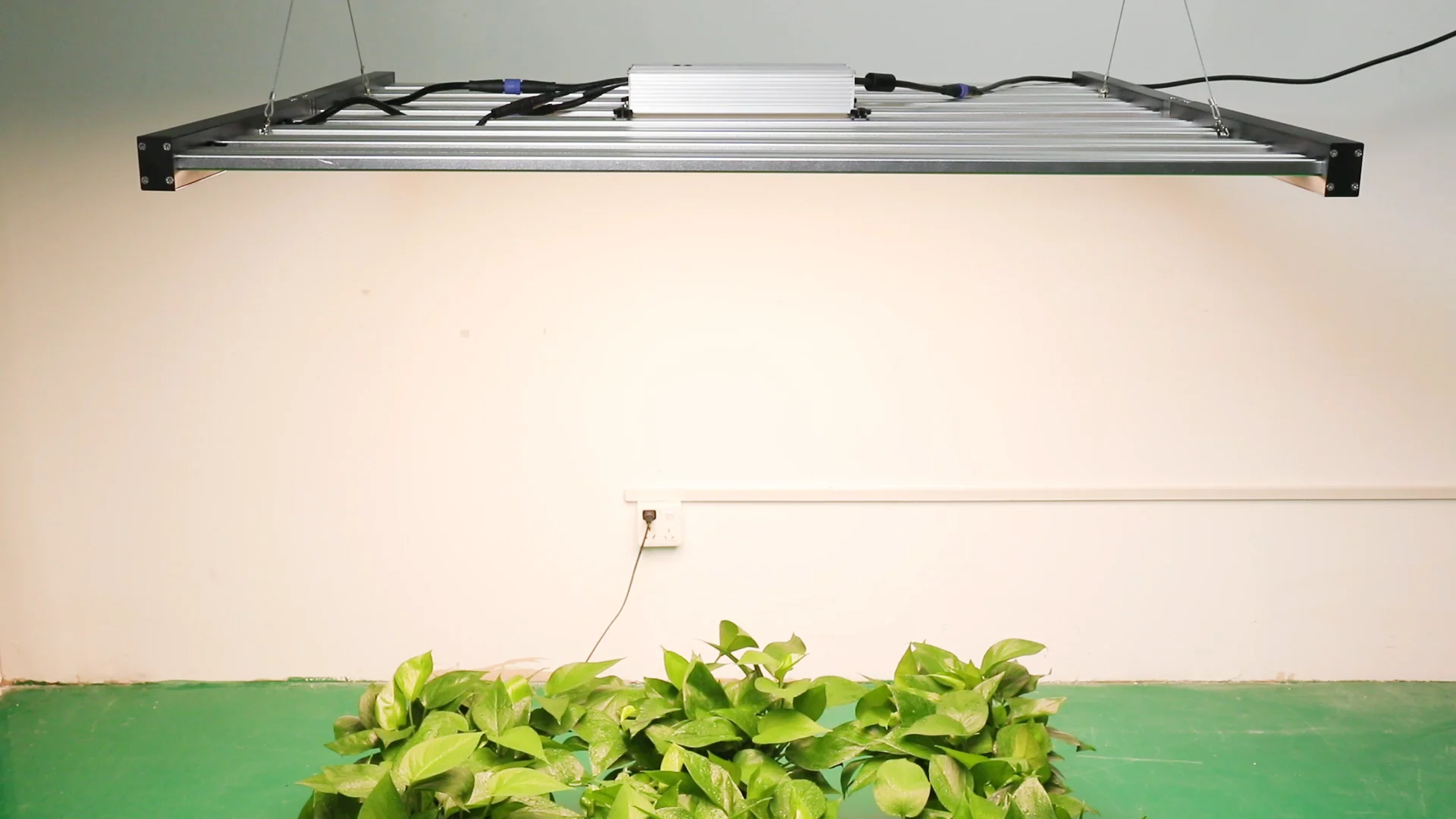 Phlizon Newest Lumileds + Osr 640w Dimmable Led Grow Light 8 Bars Full