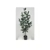 Handmade and Industry technical chinese bonsai tree home kitchen garden office decorations faux plant indoor laurel tree for hig
