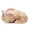 /product-detail/good-quality-wholesale-price-halal-frozen-whole-chicken-and-parts-for-sale-62415600552.html