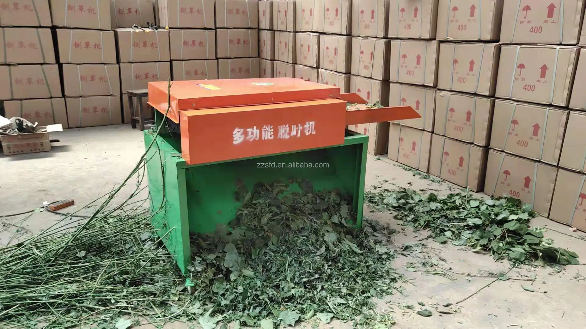 Myanmar Sweet Leaf Plant Stevia Herb Stripping Machine Wormwood Leaf