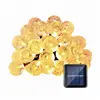 Globe Outdoor Solar String Lights 20ft 30 LED Fairy Bubble Crystal Ball Holiday Party Decoration Lights (Warm White)