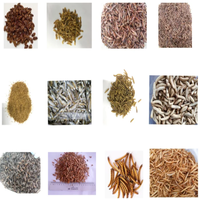 Wholesale High Protein Cheap Price Feed Grade Silkworm Powder For