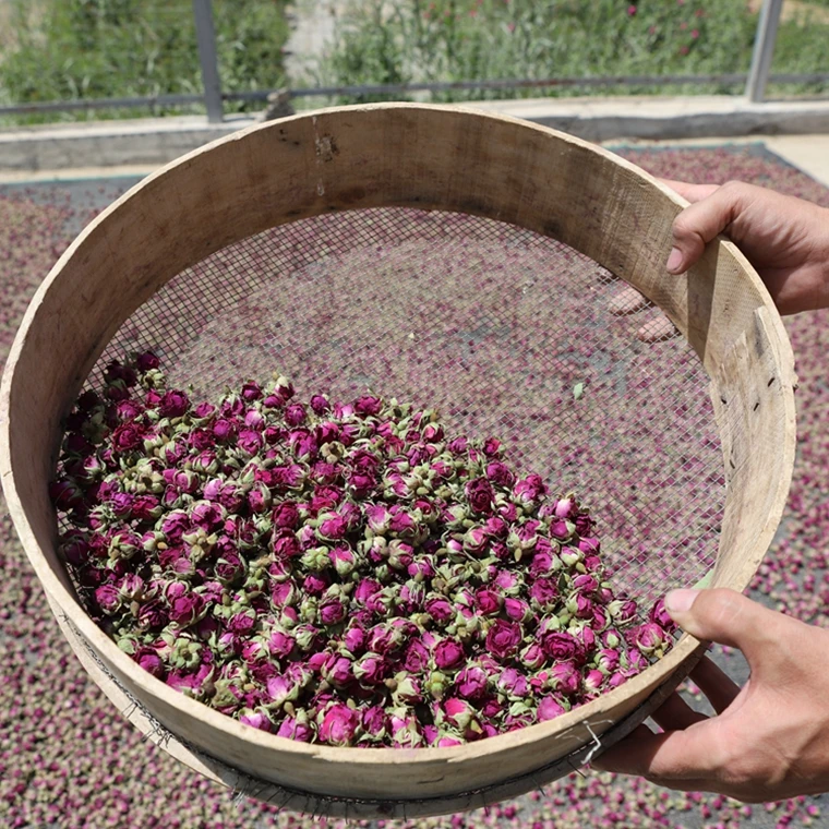Attractive Price New Type Dry Detox Organic Flower Tea - 4uTea | 4uTea.com