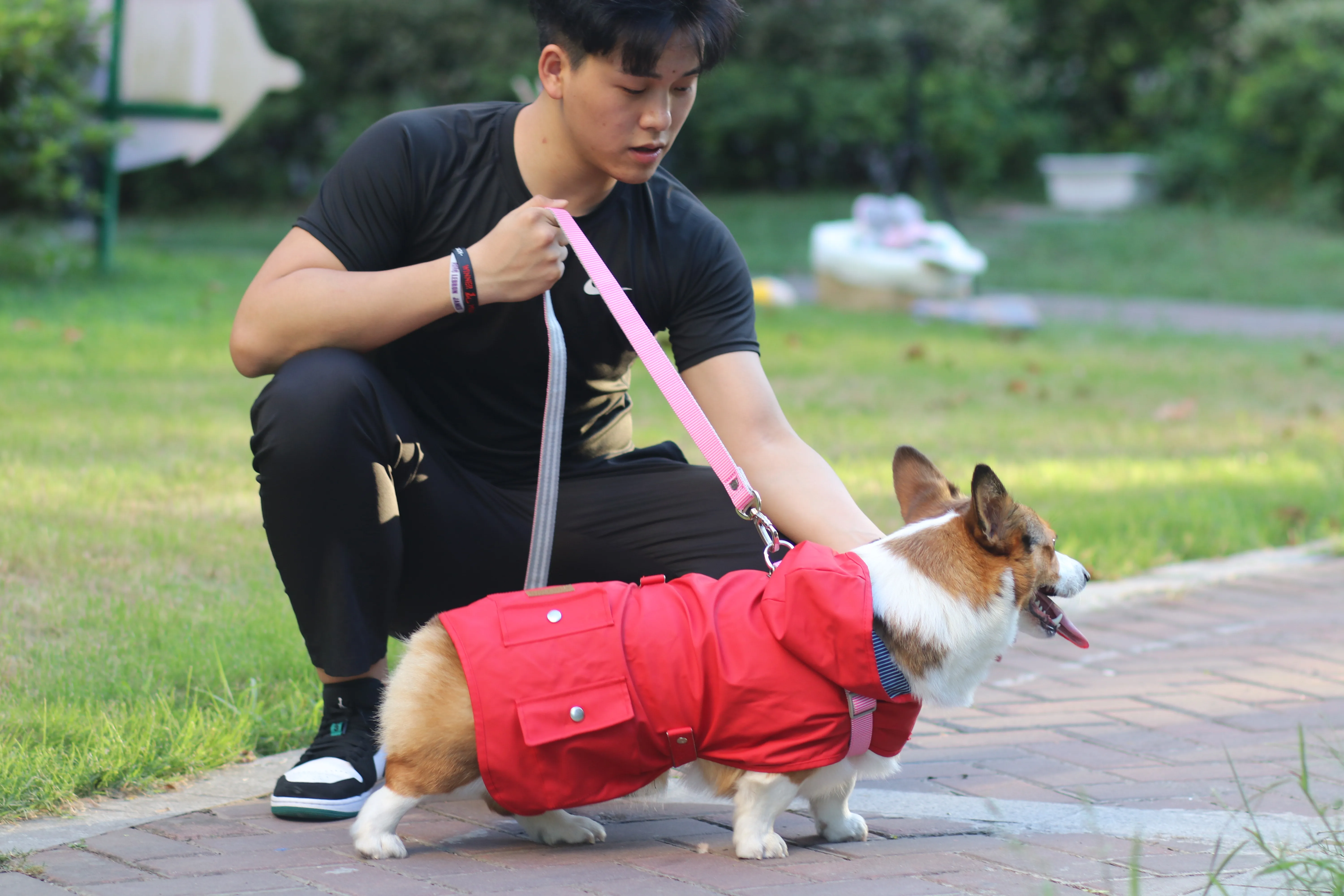 Amazon Explosion Waterproof Raincoat For Dogs Buy Dog Accessories Pet
