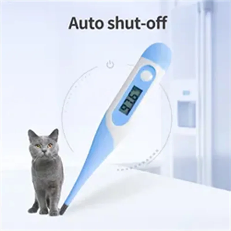 Card Thermometer Artifical Insemination Cow Thermometers Veterinary