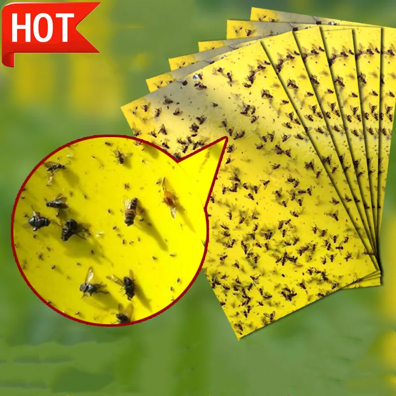 20x15cm Buzz Fruit Fly Bug Mosquito Killer Insects Pest Catcher Fly Trap Sticker