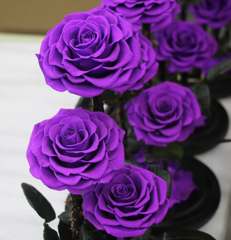 Wholesale Real Touch Preserved Flower Luxury Dubai Preserved Roses In