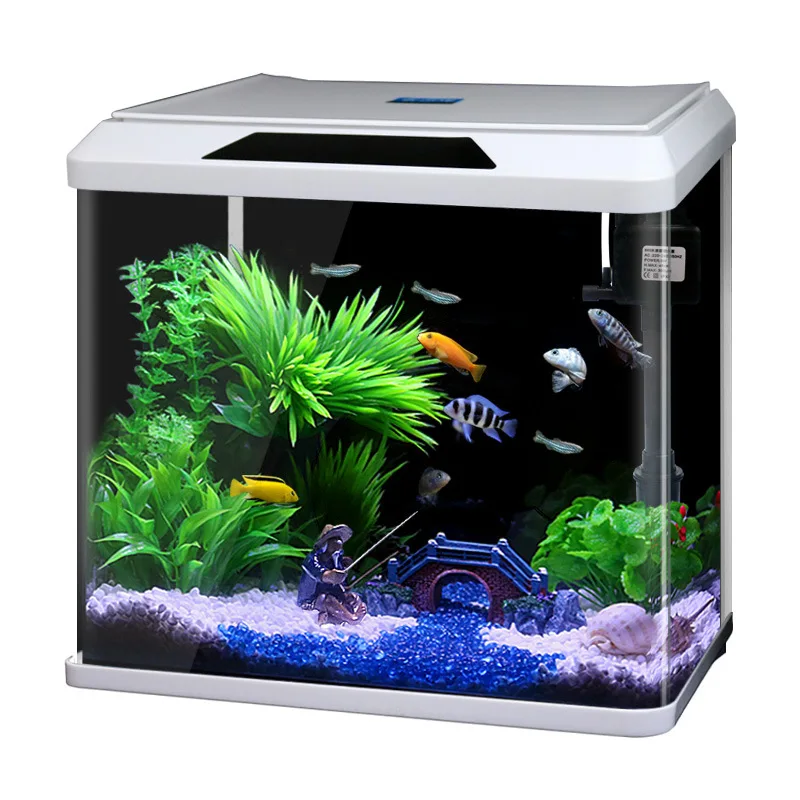 buy fish tank accessories