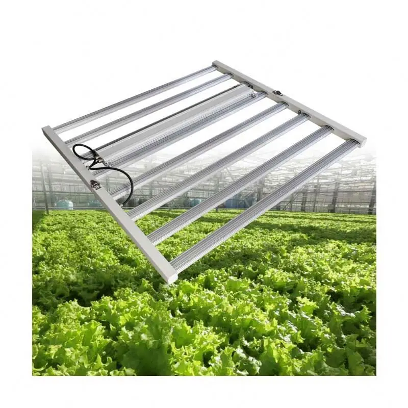 Risen Green Best Quality China Manufacturer Double Chips Cob Led Grow Light Rj14 Port Hydroponics