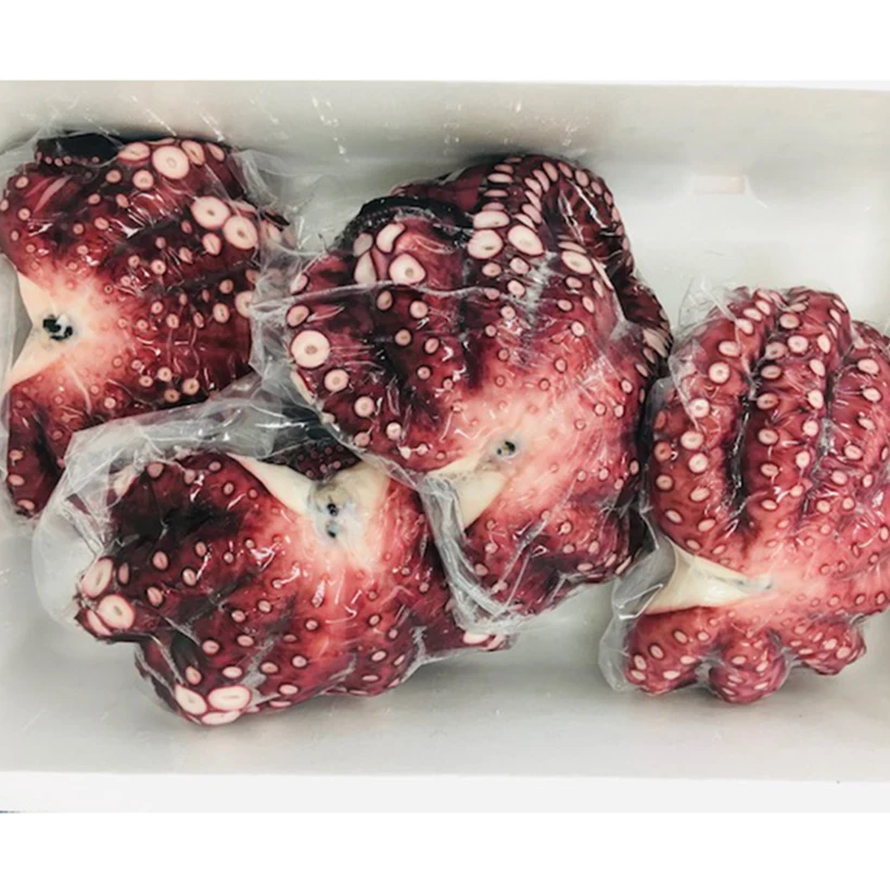 
10kg steamed plump texture tako octopus wholesale dish seafoods and frozen food 