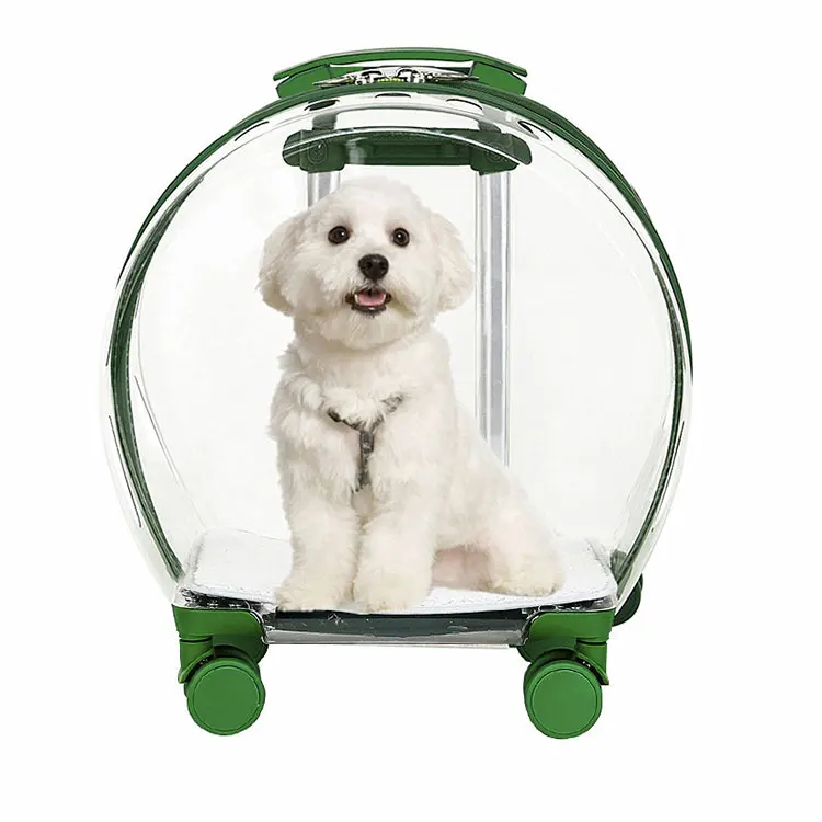 Amazon Top Seller Pet Carrier On Wheels Fully Transparent Pet Trolley