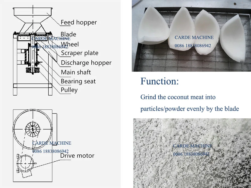 Coconut Meat Grinder (2).jpg
