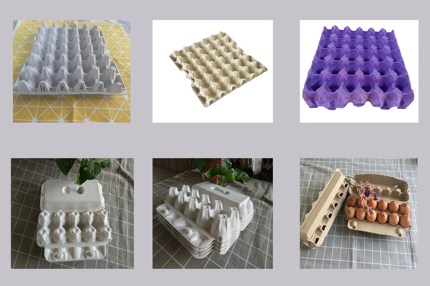 3 Cells Customer Plastic Egg Box Moulds For Egg Tray Molding Machine