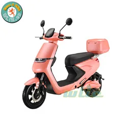 49cc mini moto
