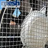 China Factory for brass Decorative Crimped Woven Wire Mesh