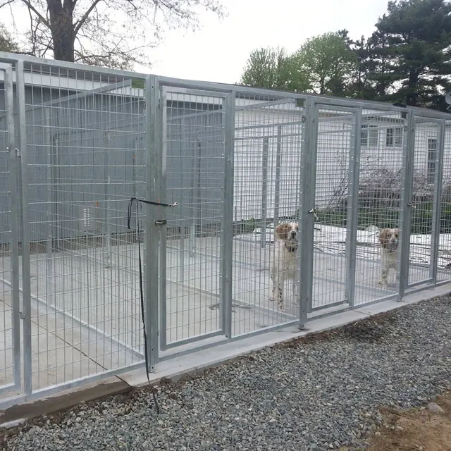 Fight Guard Multiple Dog Kennels / Dog Boarding Kennels . Buy Dog
