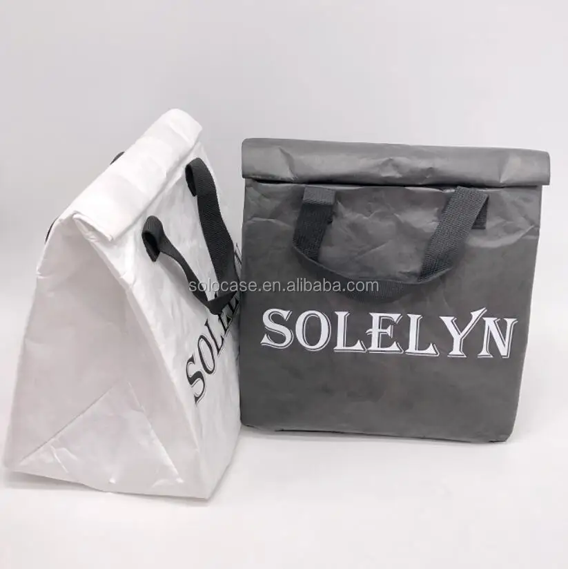 Large Insulated Tyvek Paper Lunch Bag