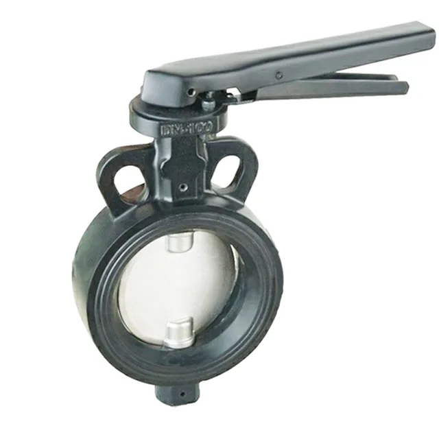 wafer valve butterfly.jpg
