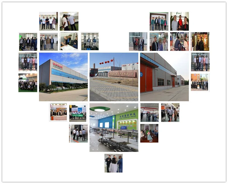 paste-pic-dp_uuid_ncqg7