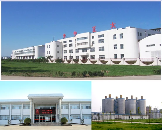 paste-pic-dp_uuid_ikkwx