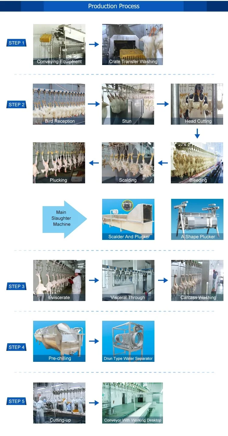 Halal Chickens Slaughter Processing Line Slaughterhouse Compact